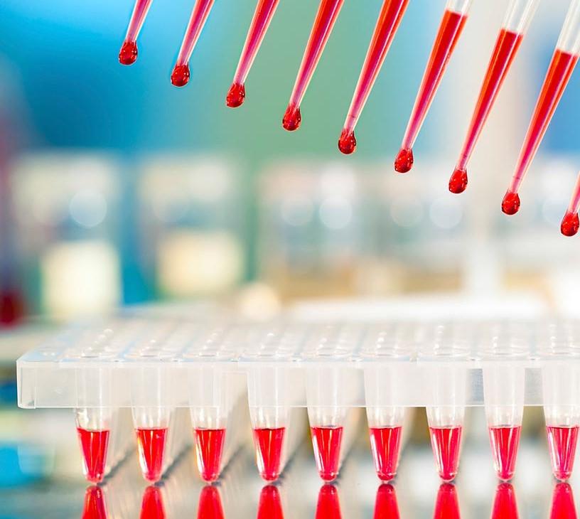 Global High Throughput Screening (HTS) Market 2025-2029