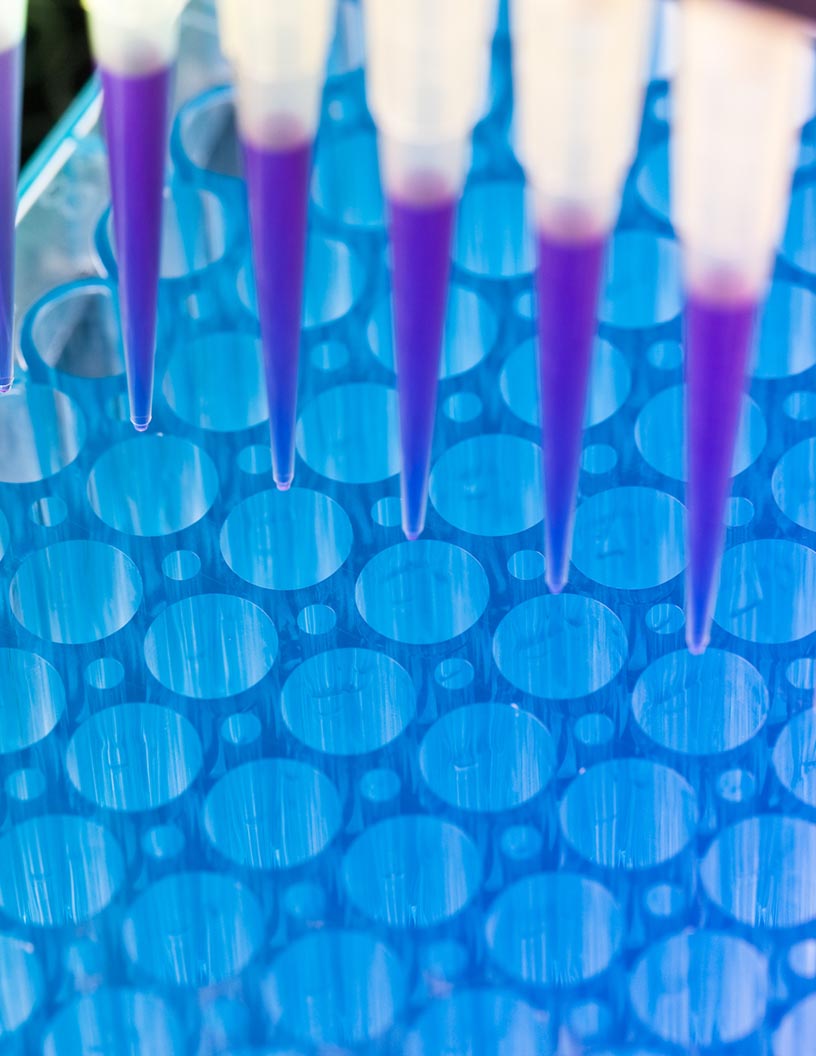 Global liquid biopsy market 2024-2028