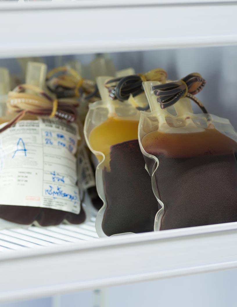 Blood Bank Refrigerators Market in US 2025-2029