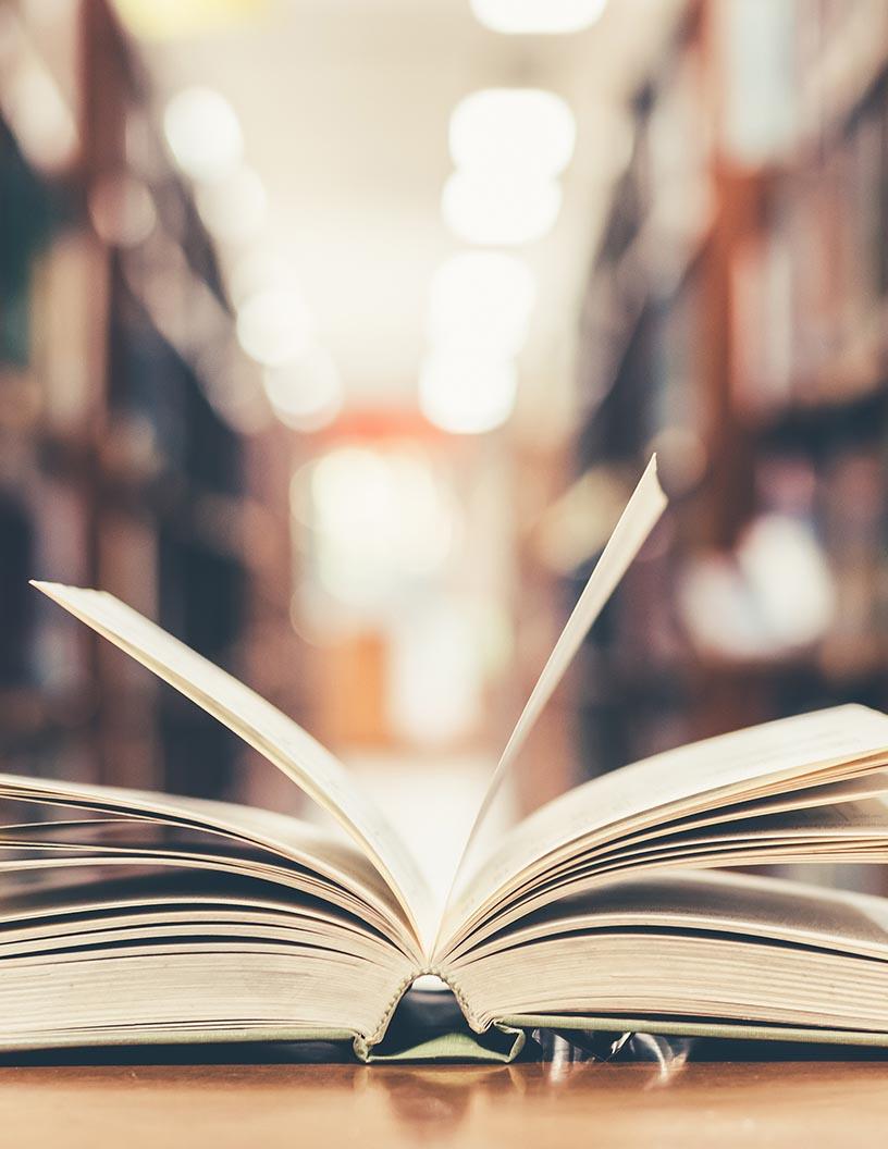 Global Physical Intellectual Property Market 2025-2029