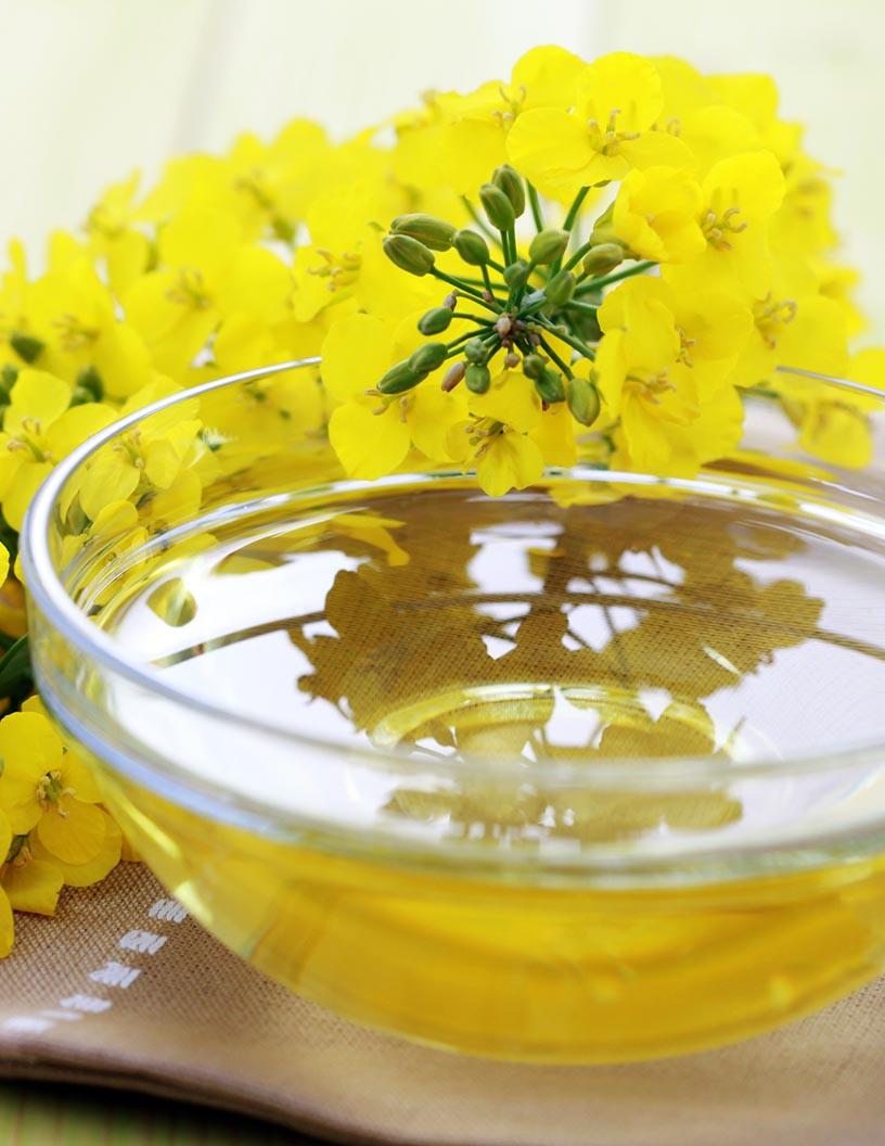Global Canola Oil Market 2025-2029