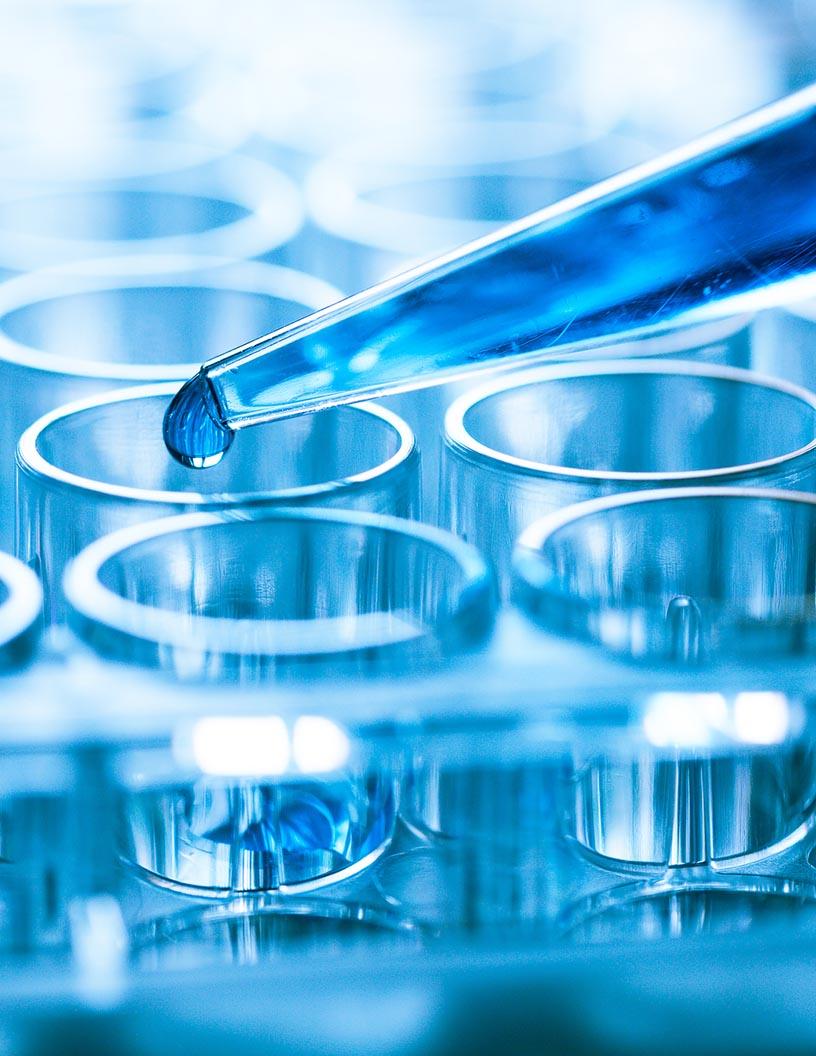 Global Specialty Enzymes Market 2025-2029