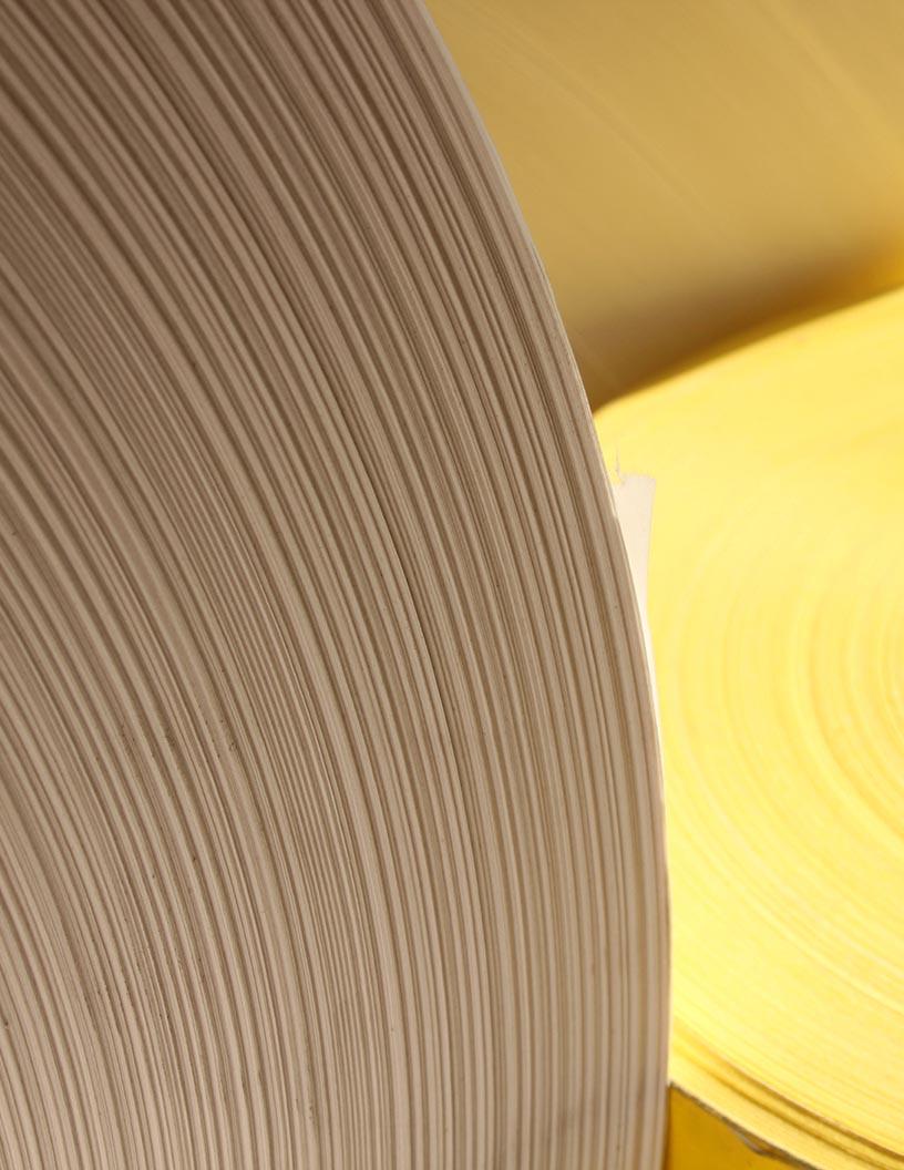 Global Specialty Pulp And Paper Chemicals Market 2025-2029