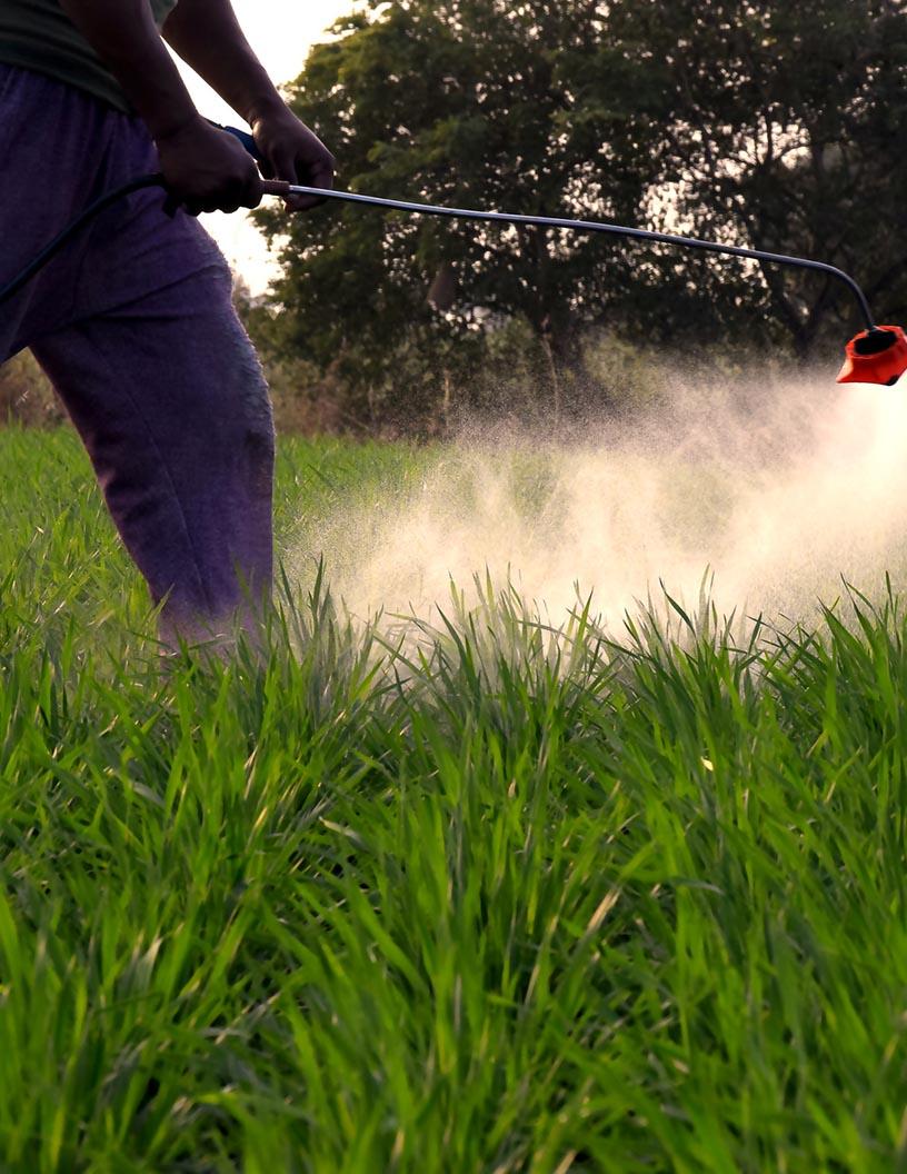 Global Biopesticides Market 2025-2029