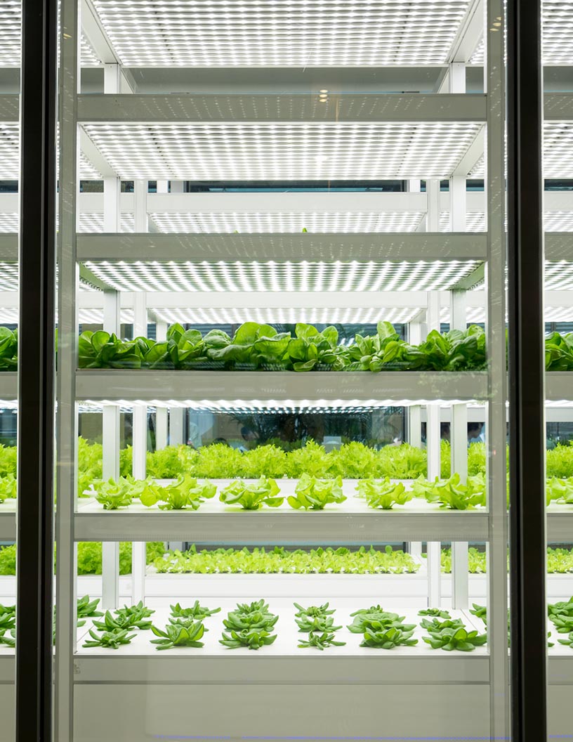 Global Ventilation And Air Conditioning Market For Indoor Agriculture 2025-2029