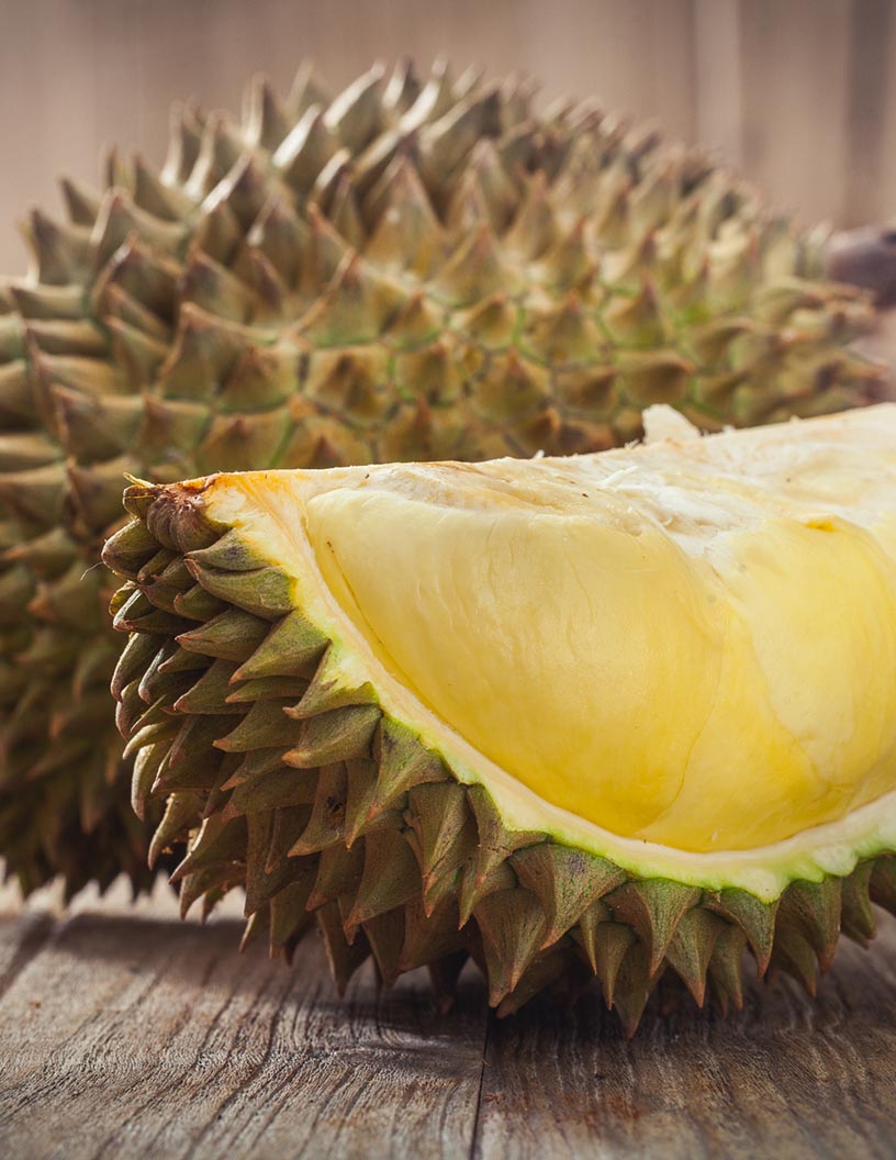 Global durian fruit market 2024-2028