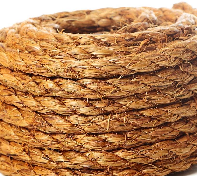 Global Abaca Fiber Market 2025-2029