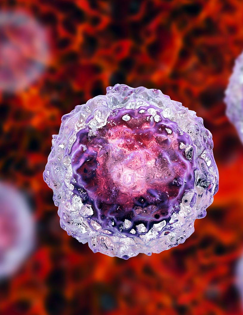Global Induced Pluripotent Stem Cells Production Market 2024-2028