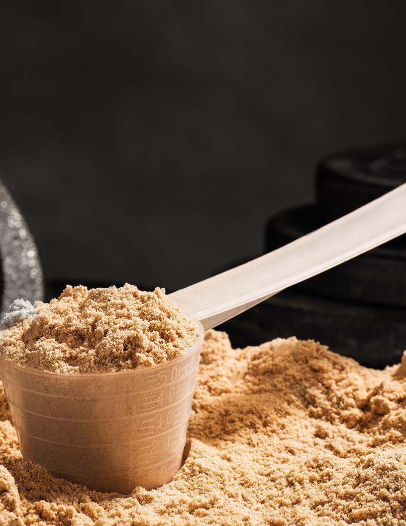 Global protein supplements market 2024-2028