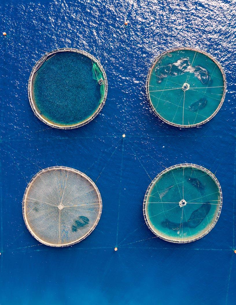 Global aquaculture feed market 2024-2028