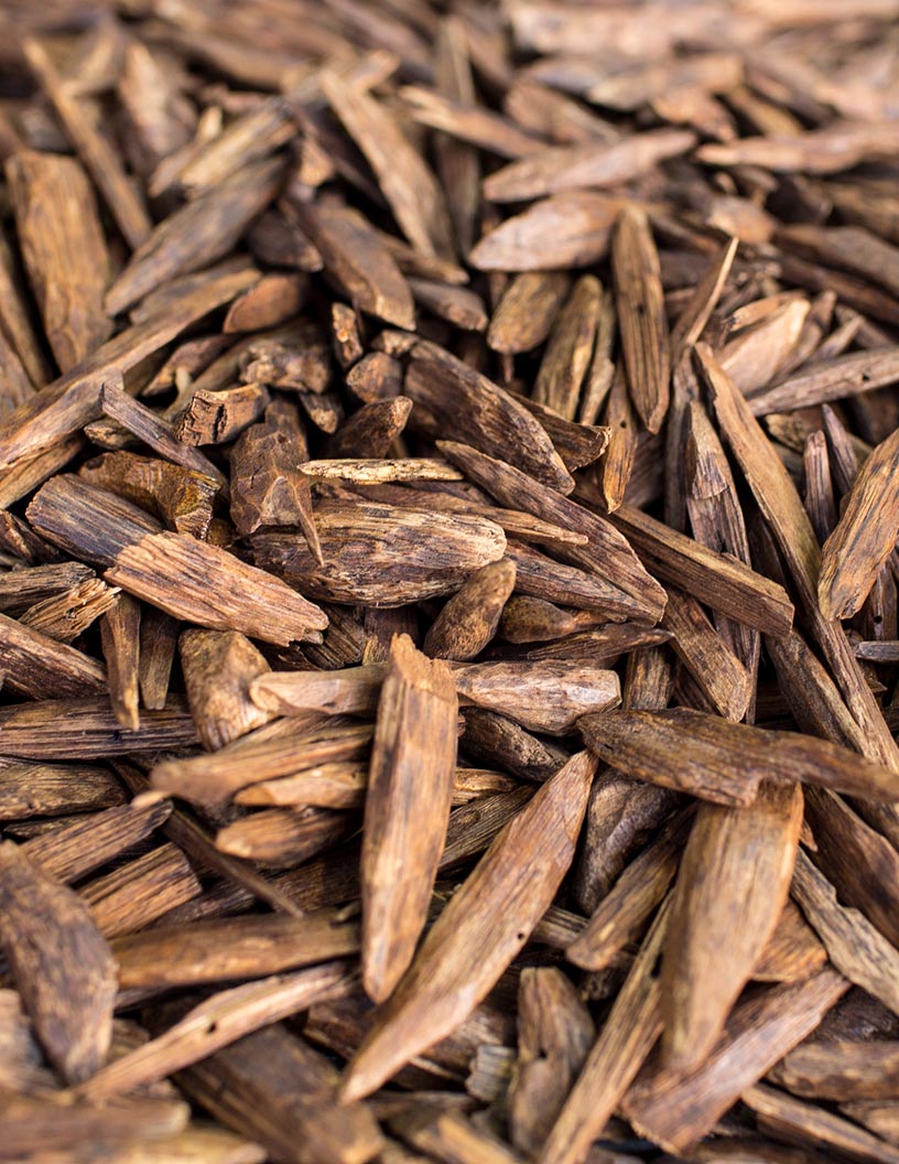 Global agarwood essential oil market 2024-2028