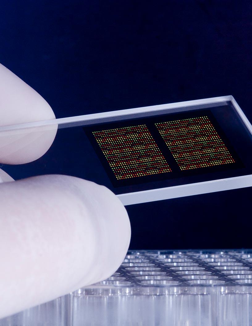 Global Tissue Microarray Market 2024-2028