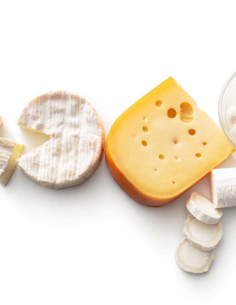 Global Fat Rich Dairy Products Market 2024-2028