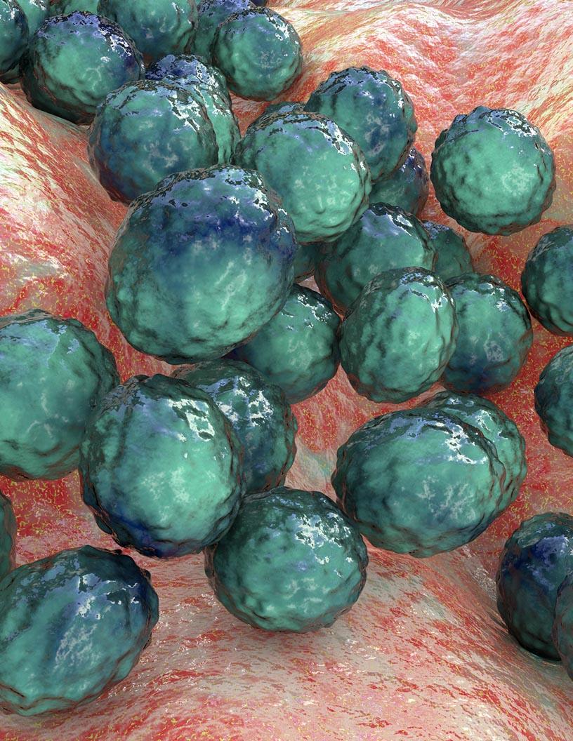 Feed Phytogenics Market in Europe 2025-2029