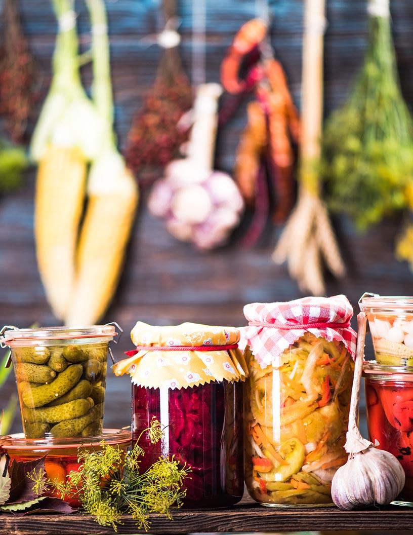 Fermented Ingredient Market in North America 2024-2028