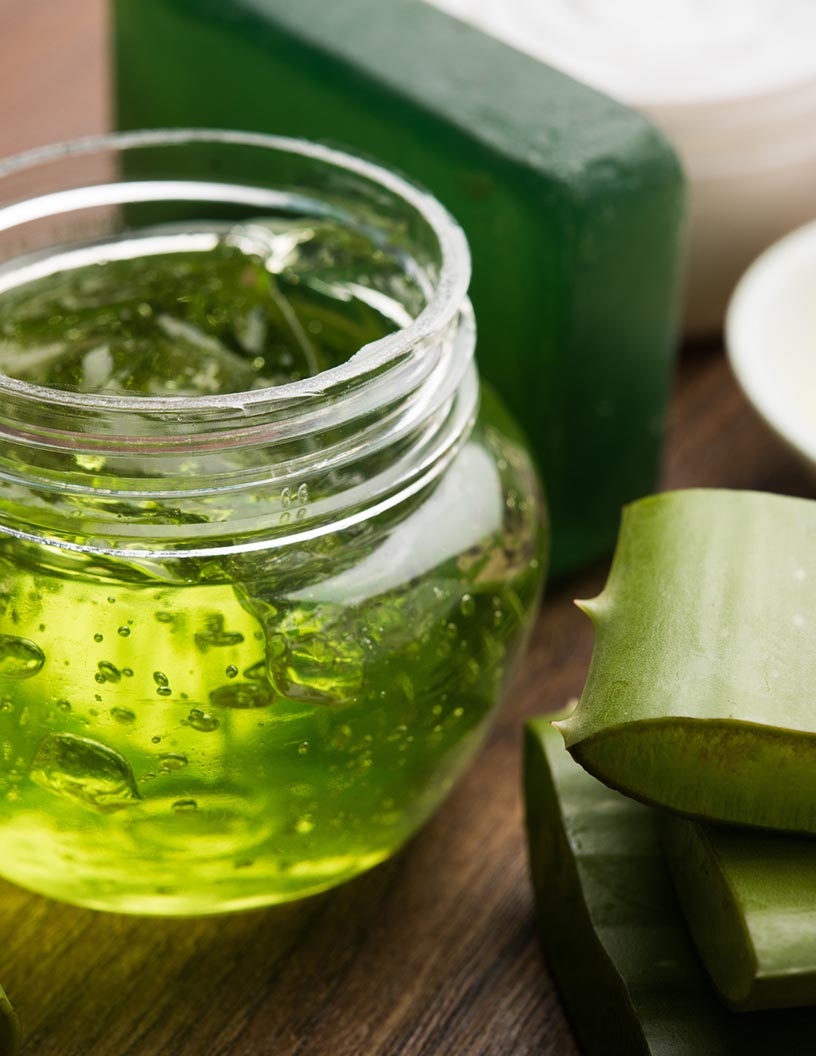 Global botanicals market 2024-2028