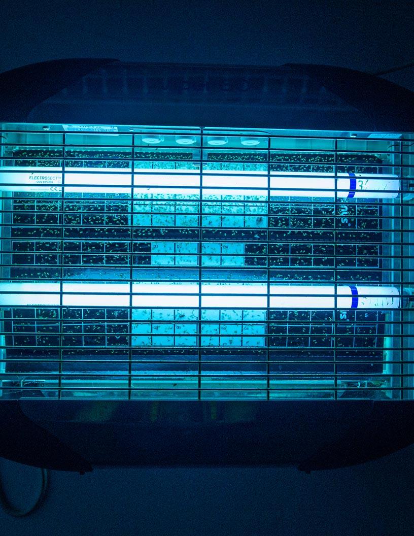 Captive Power Generation Market in India 2025-2029