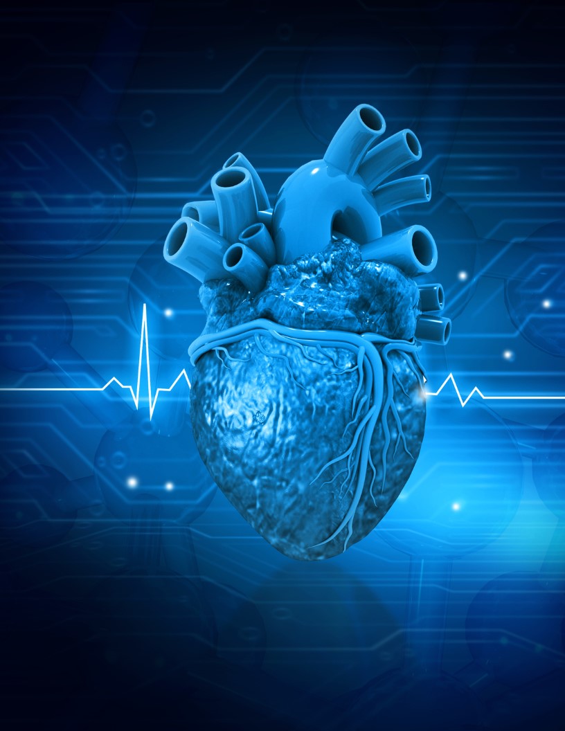 Global artificial heart market 2024-2028