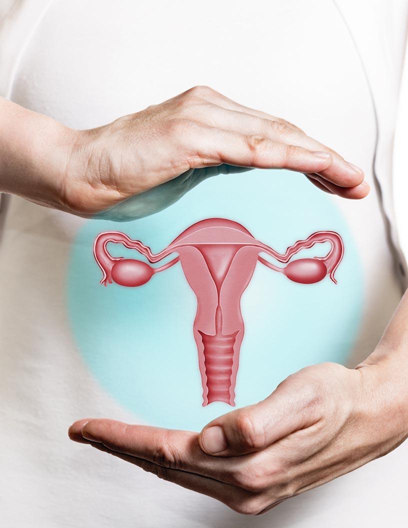 Global Fallopian Tube Cancer Therapeutics Market 2025-2029