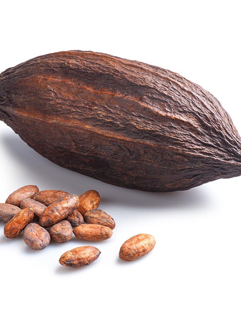 Global Cocoa Beans Market 2025-2029