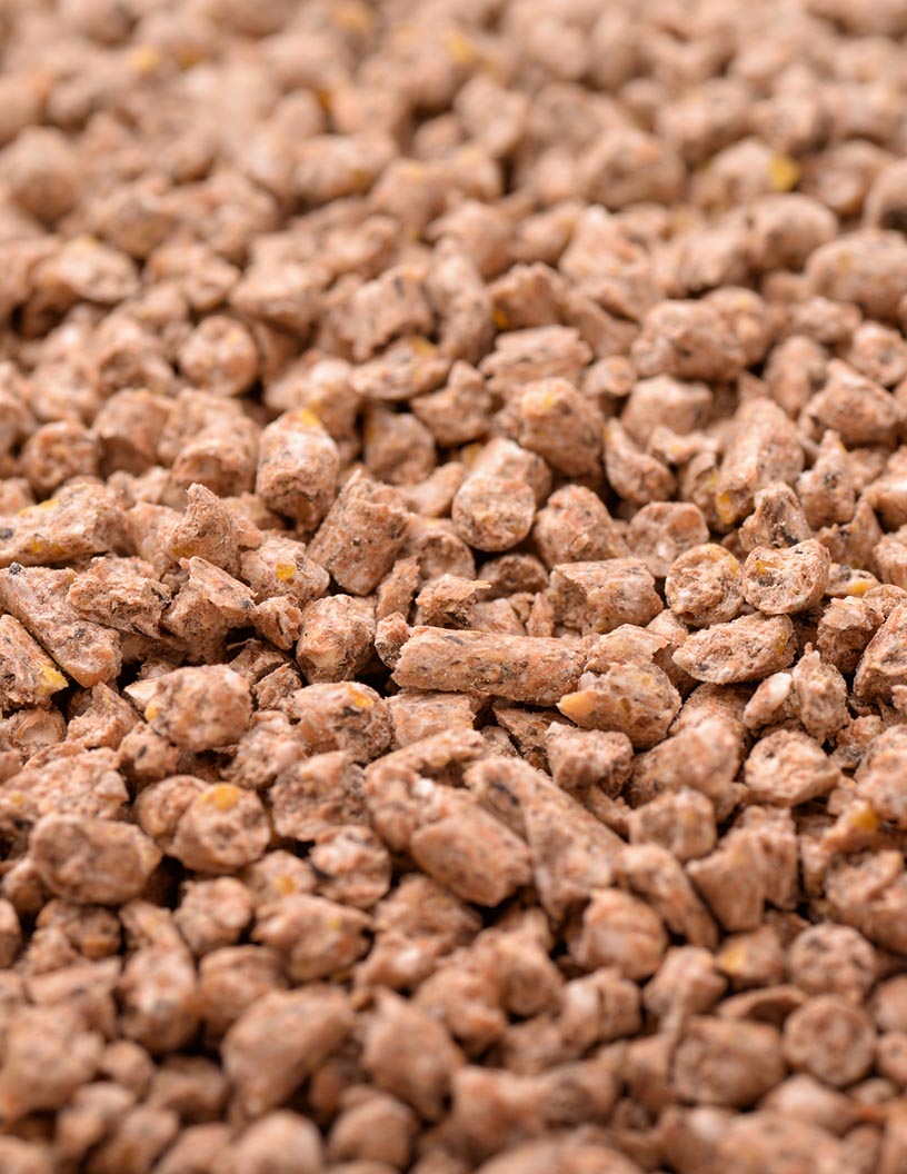 Compound feed market in mexico 2024-2028