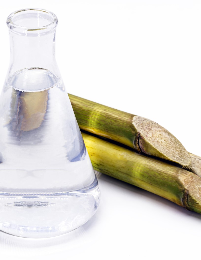 Latest News: Global biofuel from sugar crops market 2024-2028