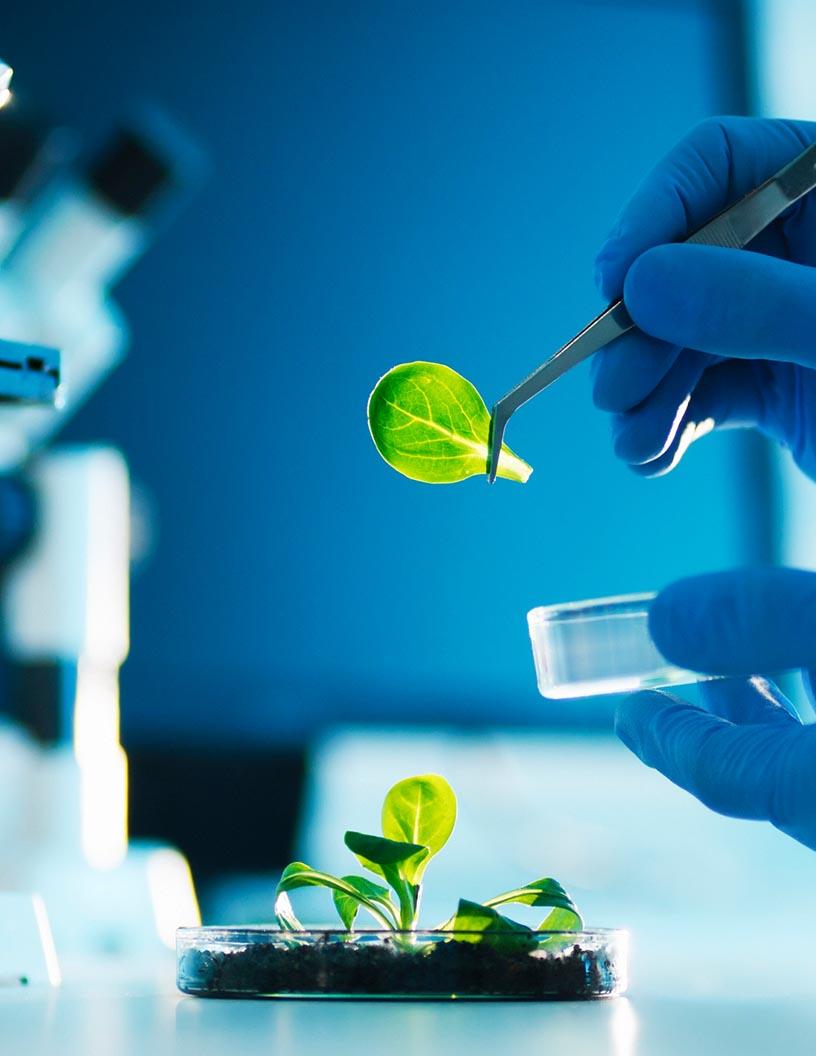 Global Agroscience Market 2024-2028