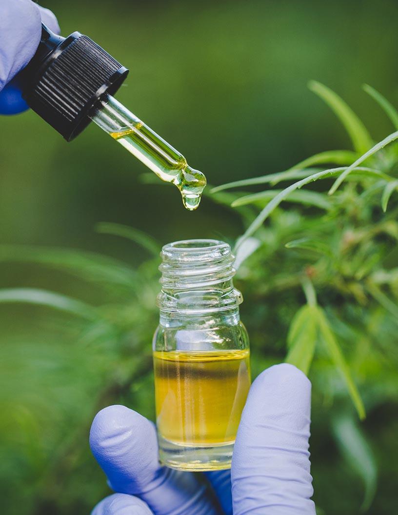 Cannabis Market in US 2025-2029