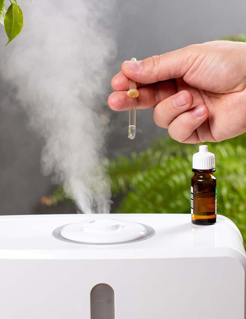 Global Air Care Market 2025-2029