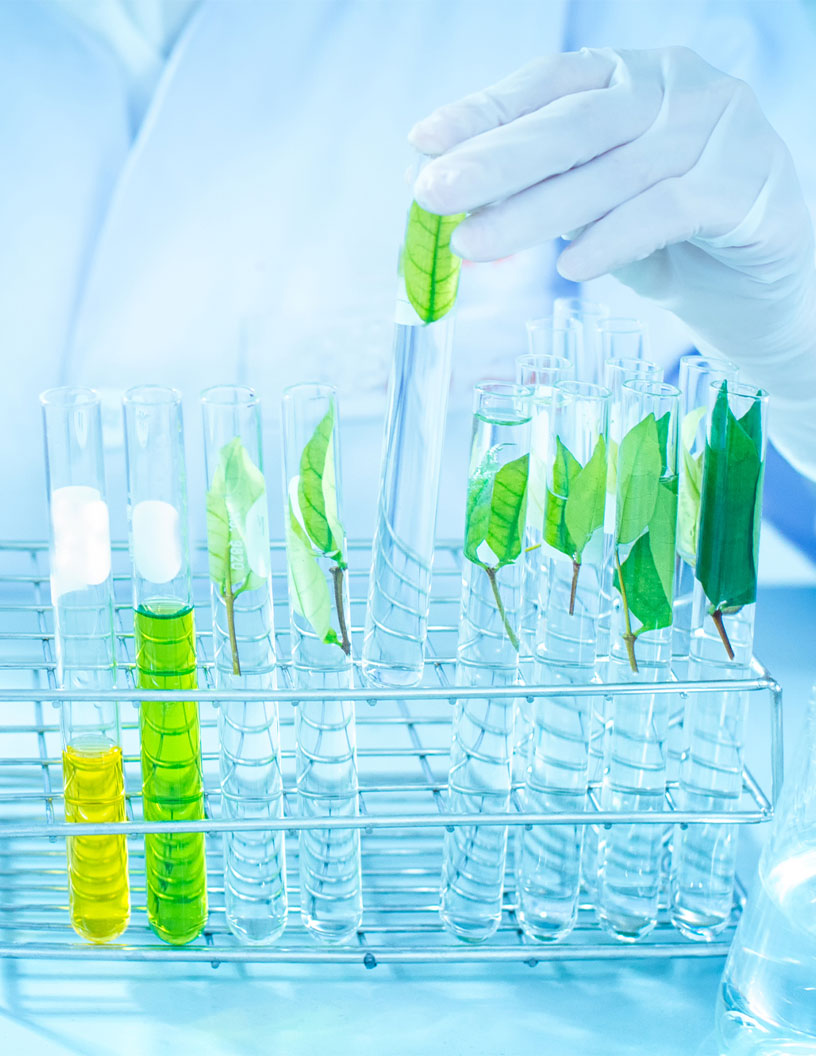 Global bioremediation market 2024-2028