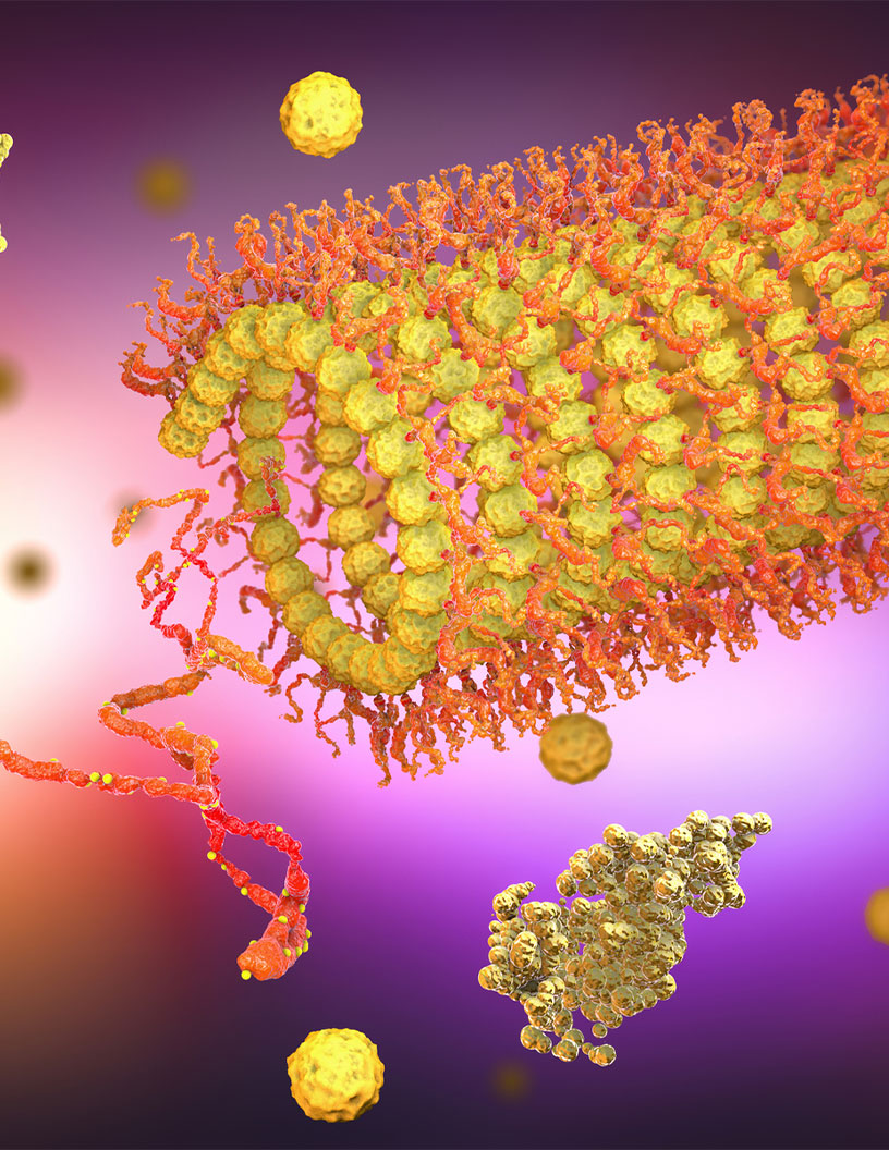 Global protein engineering market 2024-2028