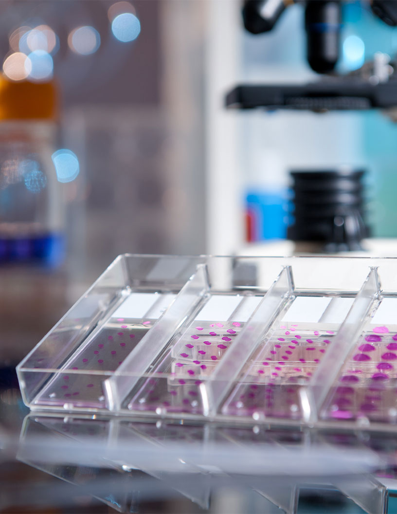 Global Immunohistochemistry Market 2024-2028