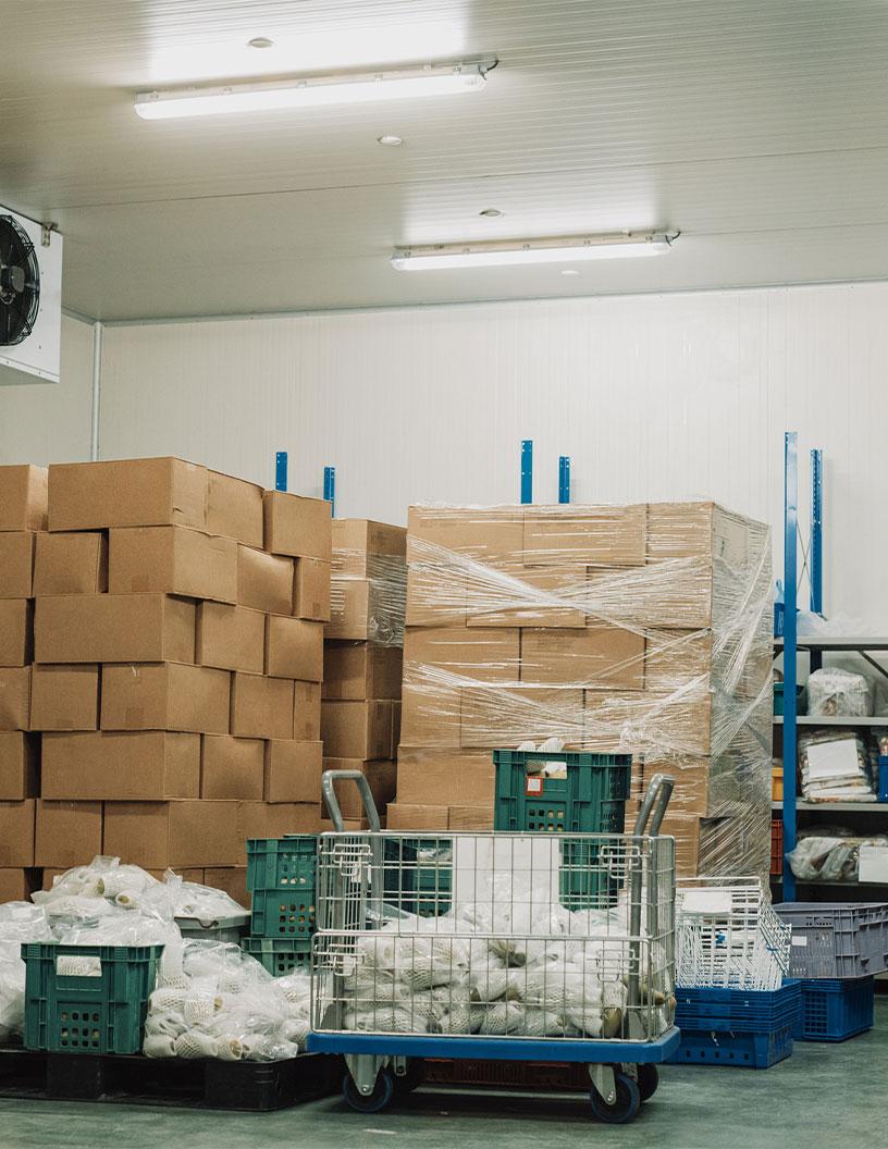 Cold Chain Market in Europe 2025-2029