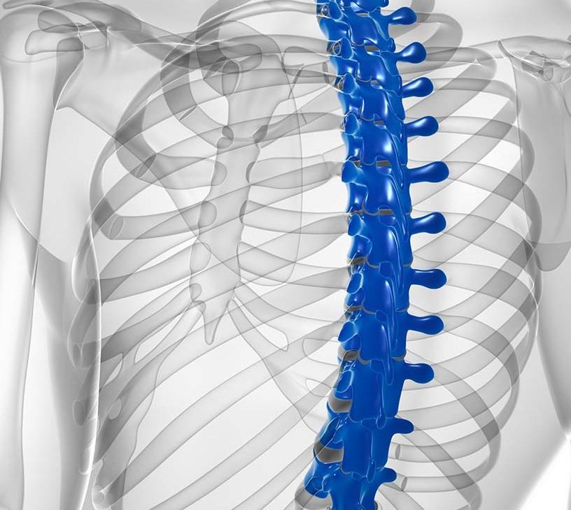 Global Spinal Fusion Devices Market 2025-2029