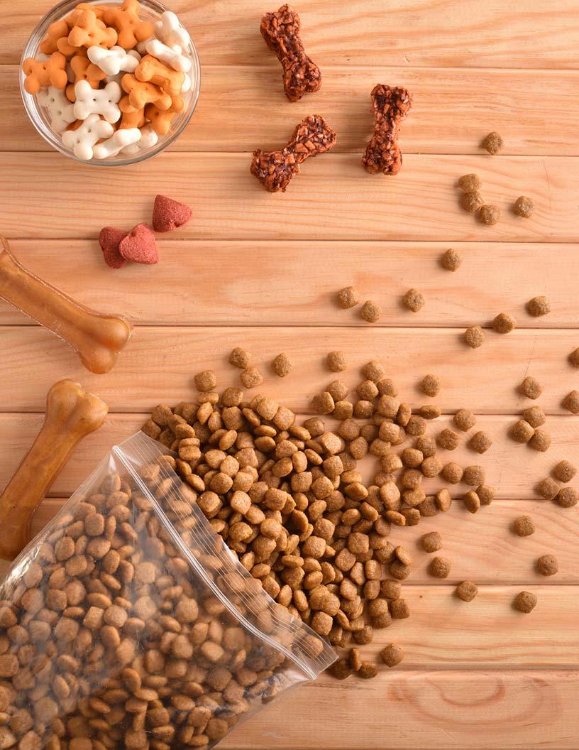 Global Pet Treats Market 2024-2028