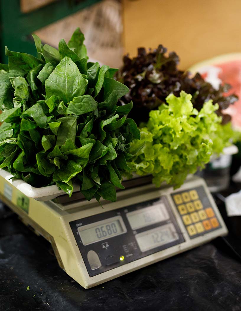 Global Commercial Food Scales Market 2024-2028