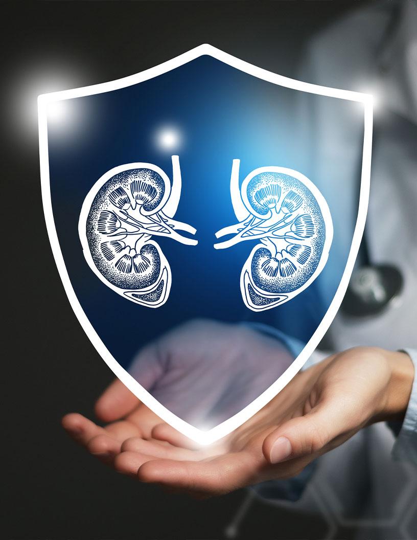 Global Chronic Kidney Disease (CKD) Drugs Market 2025-2029