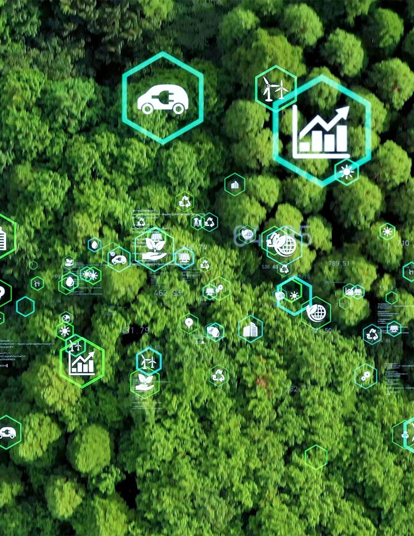 Global Environmental Catalyst Market 2025-2029