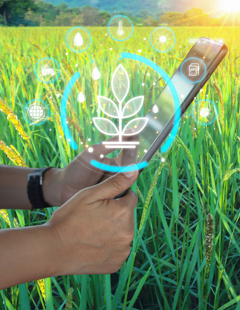 Latest News: Global Crop Monitoring Devices Market 2024-2028