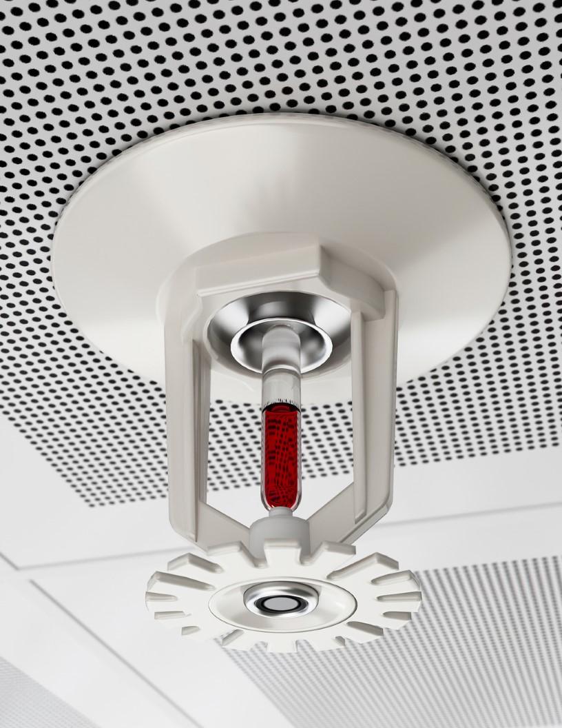 Global Commercial Fire Sprinkler Systems Market 2024-2028