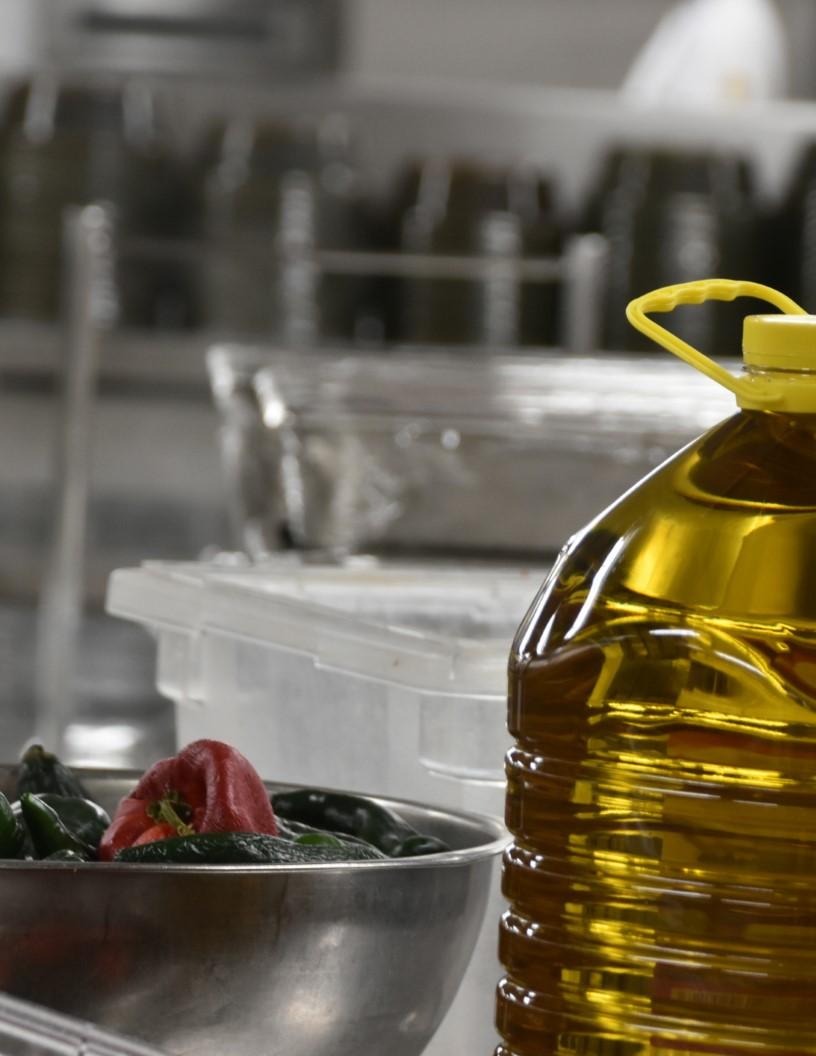 Global Hydrotreated Vegetable Oil Market 2025-2029