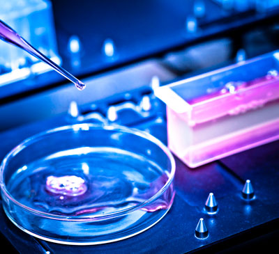 CAR T-cell Therapy for Multiple Myeloma - A Pipeline Analysis Report