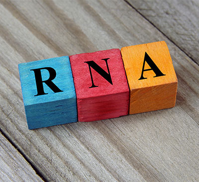 Global Cell RNA Detection Market 2018-2022