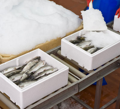 Global Isothermal Packaging Market 2017-2021