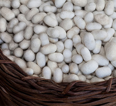 Global Natural Polymers Market 2018-2022