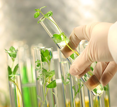 Global Plant Activators Market 2018-2022