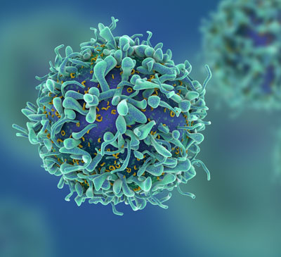 IDO Inhibitors - A Pipeline Analysis Report