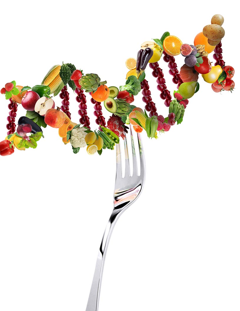 Nutrigenomics Market Analysis, Size, and Forecast 2024-2028: North America (US and Canada), Europe (France, Germany, UK), APAC (Australia, India, Japan, South Korea), South America (Brazil), and Middle East and Africa (UAE)