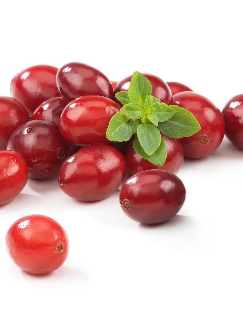 Fresh Cranberries Market Analysis North America, Europe, APAC, South America, Middle East and Africa - US, Germany, China, UK, Canada - Size and Forecast 2024-2028