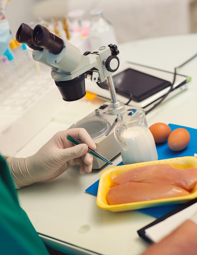 Food Safety Testing Market Analysis, Size, and Forecast 2025-2029: North America (US and Canada), Europe (France, Germany, and UK), Middle East and Africa (UAE), APAC (China, India, and Japan), South America (Brazil), and Rest of World (ROW)